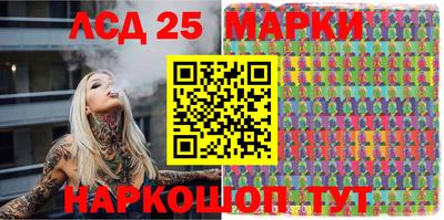 шишки Гатчина