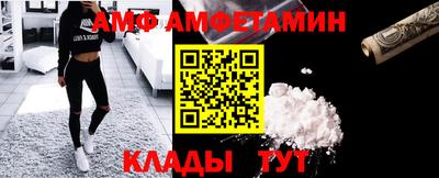 шишки Гатчина